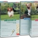 Advantix tegen vlooien en teken bij honden | mandapotheek.nl