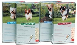 Advantix tegen vlooien en teken bij honden | mandapotheek.nl