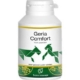 Geria Comfort Kleine Huisdieren -0