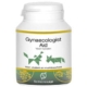 Gynealogist aid hond kat